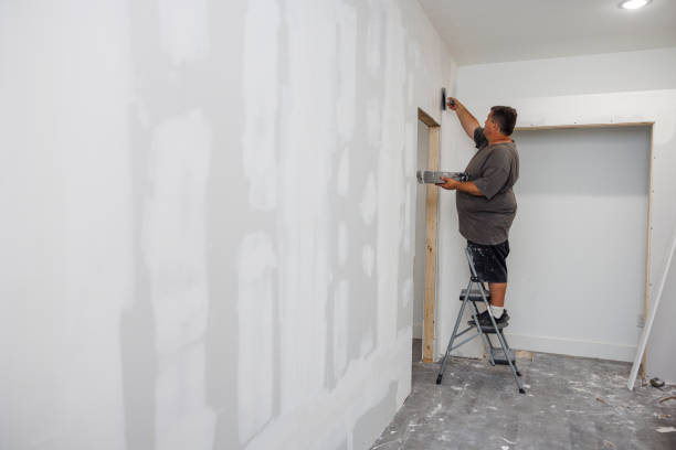 Reliable Millbury, OH Mold Removal Solutions